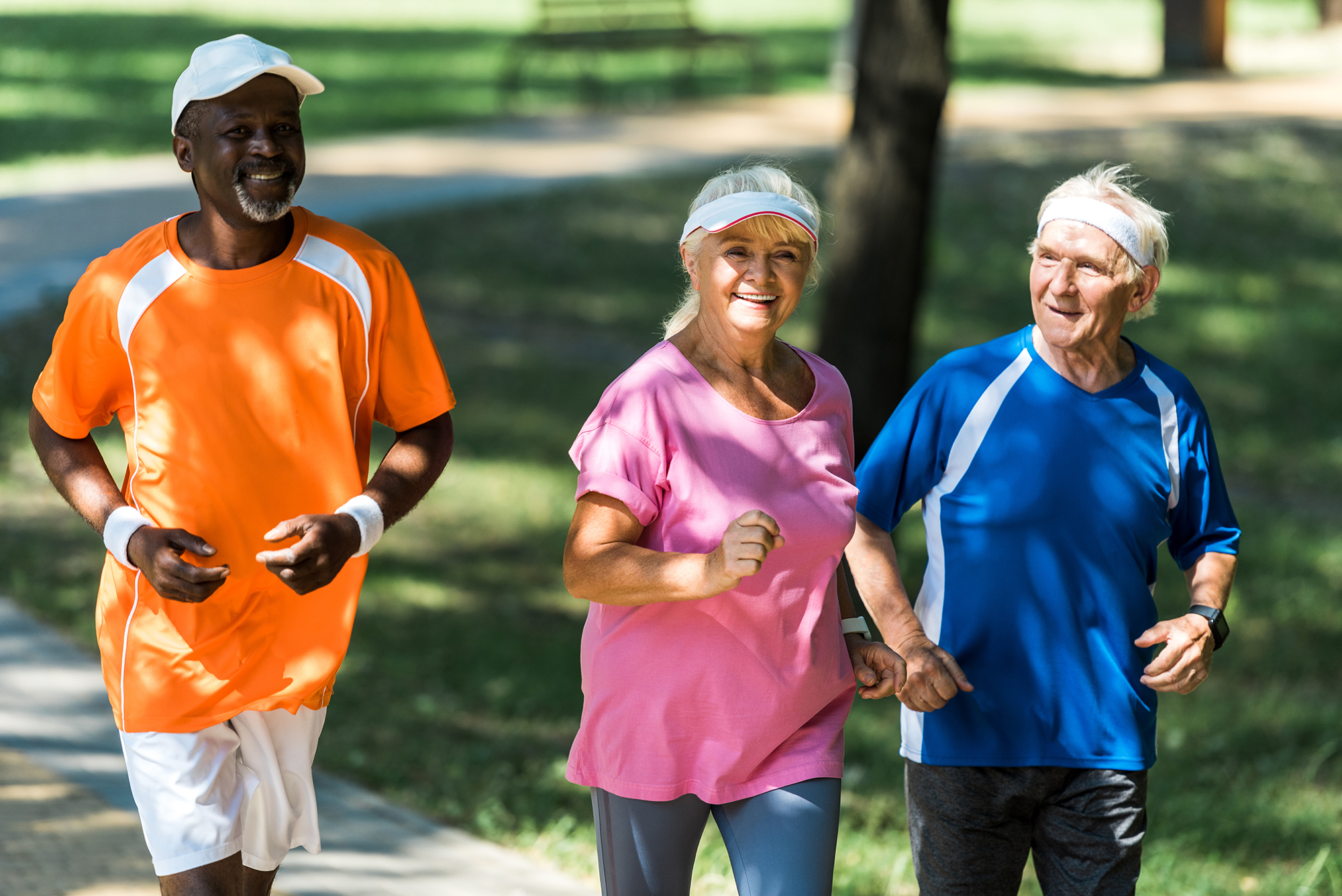 Seated Exercise: Our Ultimate Chair Workout Guide — Power for Parkinson's