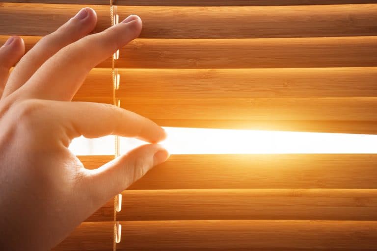 Light Therapy for Parkinson’s Disease